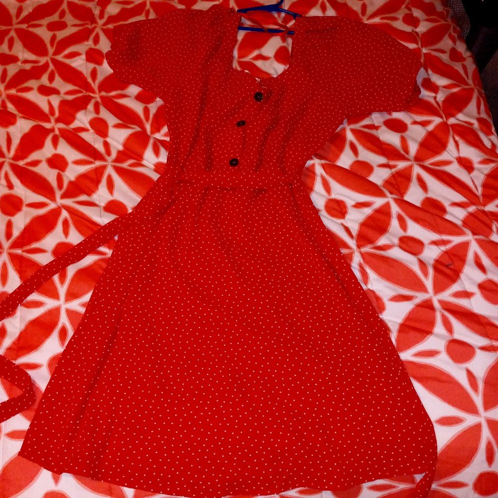 Polka Dot Dress